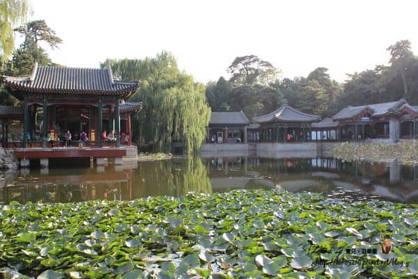 IMG_3269_副本2.jpg IMG_3269_副本2.jpg