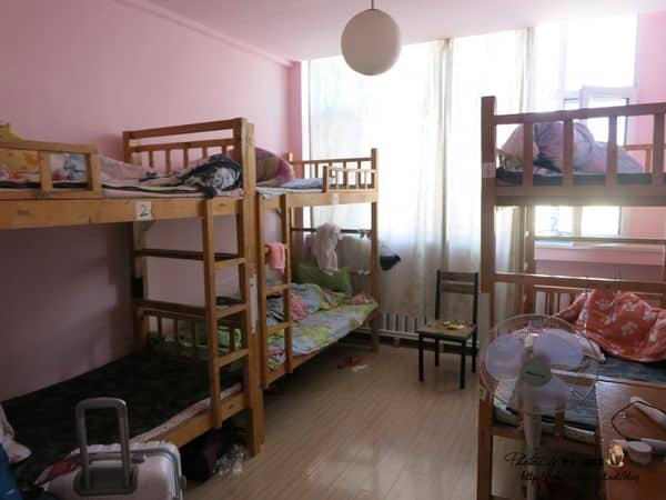 IMG_0367.JPG IMG_0367.JPG