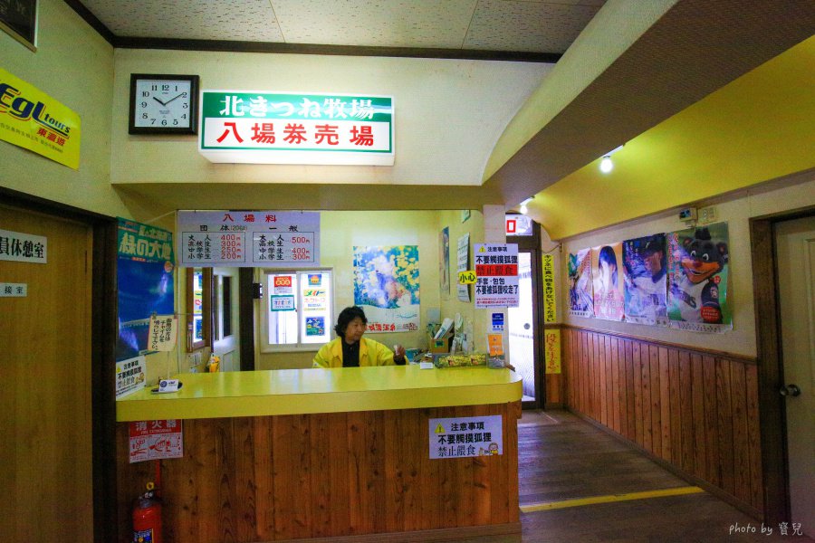【北海道北見景點|北狐牧場】北見狐狸村(北きつね牧場) ,雪地上閃耀的金色光芒。 4 batch 473A0177