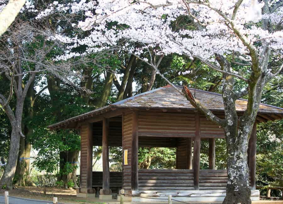 茨城賞櫻、茨城縣護國神社|水戶偕樂園旁櫻花小秘境,披覆粉紅浪漫的櫻山公園 7 batch 473A7871