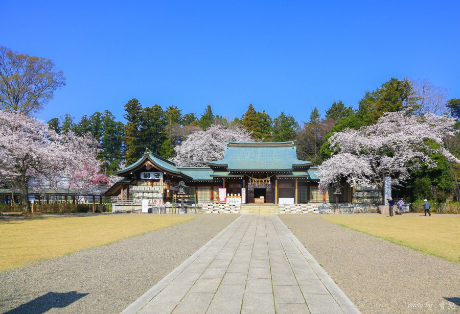 茨城賞櫻、茨城縣護國神社|水戶偕樂園旁櫻花小秘境,披覆粉紅浪漫的櫻山公園 16 batch 473A7905