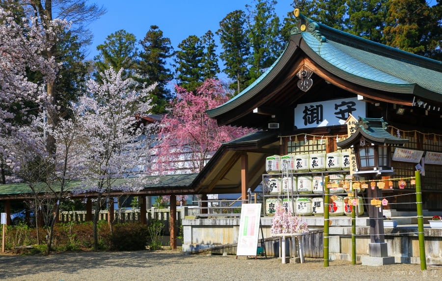茨城賞櫻、茨城縣護國神社|水戶偕樂園旁櫻花小秘境,披覆粉紅浪漫的櫻山公園 13 batch 473A7907