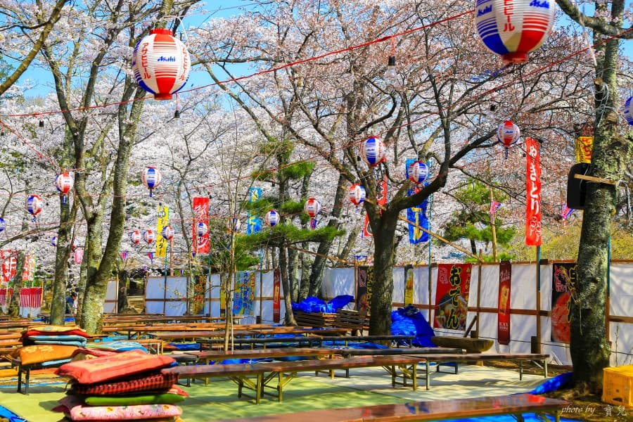 茨城賞櫻、茨城縣護國神社|水戶偕樂園旁櫻花小秘境,披覆粉紅浪漫的櫻山公園 19 batch 473A7924