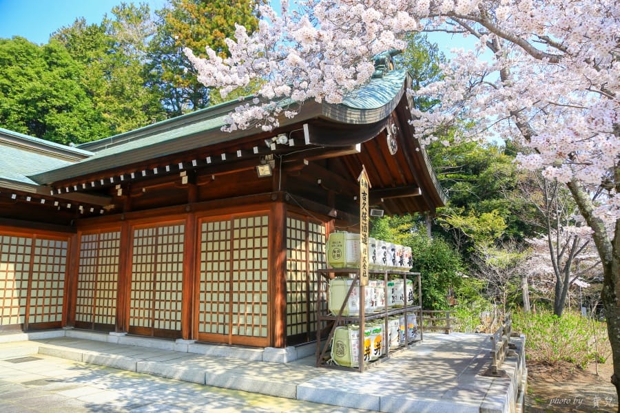 茨城賞櫻、茨城縣護國神社|水戶偕樂園旁櫻花小秘境,披覆粉紅浪漫的櫻山公園 12 batch 473A7958